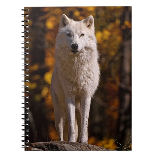 Caderno Espiral Lobo Ártico em Rock (Frente)