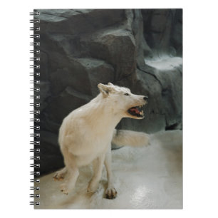 Caderno Espiral Lobo branco