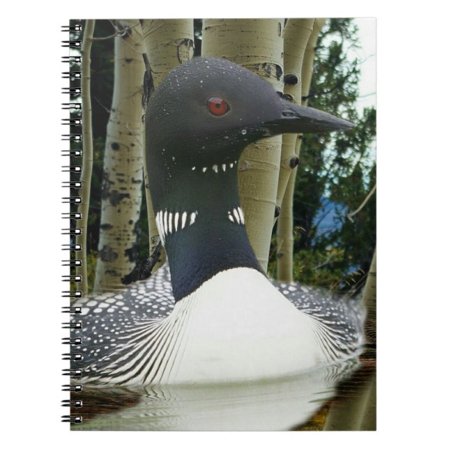 Caderno Espiral Loon Wilderness (Frente)