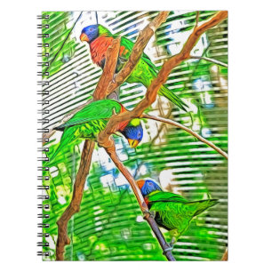 Caderno Espiral Loris Colorido num galho - papagaios