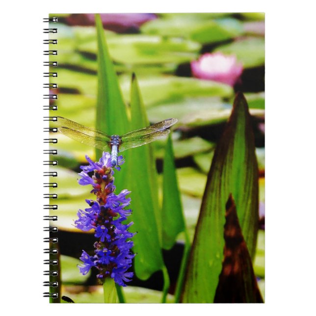 Caderno Espiral Lótus de Dragfly e flor púrpura (Frente)