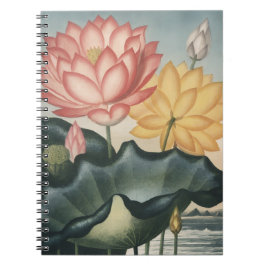 CADERNO ESPIRAL LOTUS FINE ART