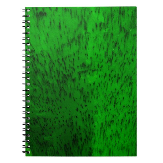 Caderno Espiral Louça de Barro Verde Lima (Frente)