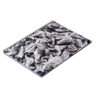 Caderno Espiral Loucos de Buffalo - Água Caltrop