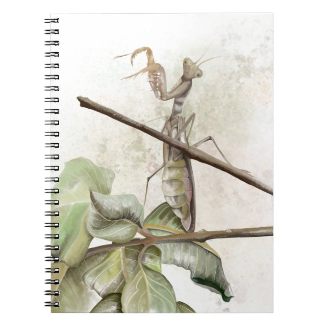 Caderno Espiral Louva-a-deus aquarela (Frente)