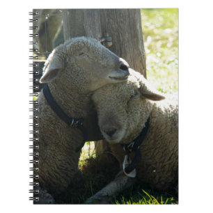 Caderno Espiral Love Ewe Sheep