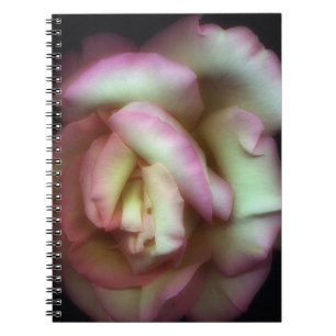 Caderno Espiral <Love is a Rose> por Nathan Griffith