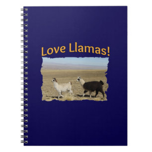 Caderno Espiral Love Lhams - Melhores Amigos