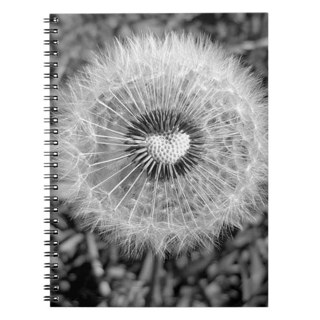 Caderno Espiral Löwenzahn (Frente)