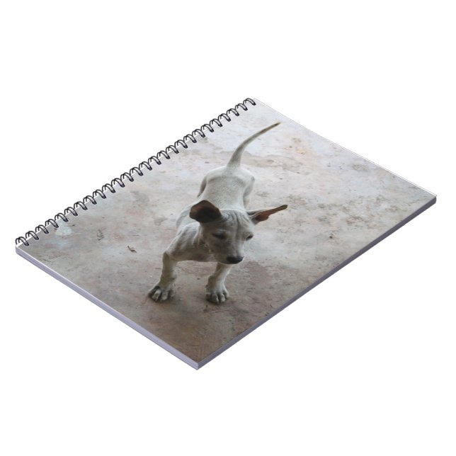 Caderno Espiral Luk Maa... Tailandês Soi Puppy Dog (Left Side)