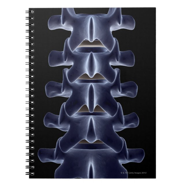 Caderno Espiral Lumbar Vertebra 2 (Frente)