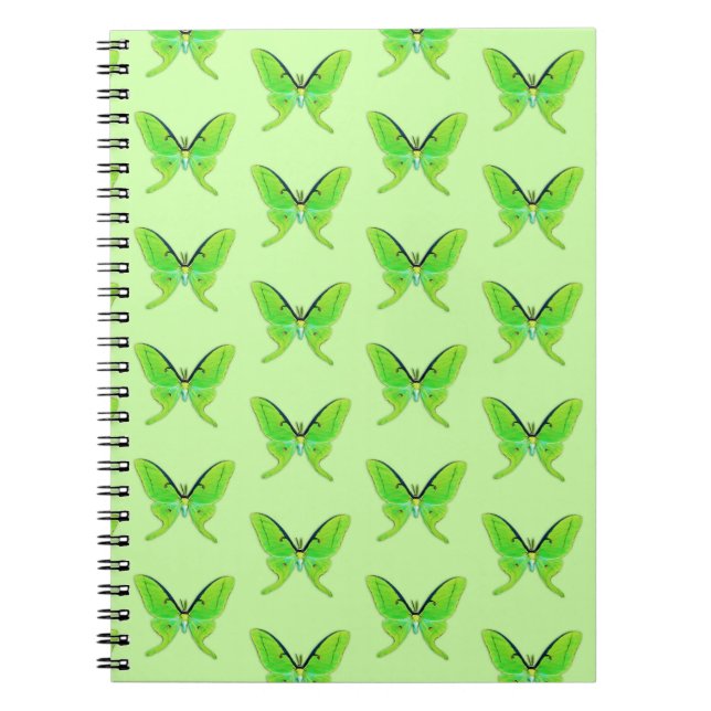 Caderno Espiral Luna moth em um notebook verde-claro (Frente)