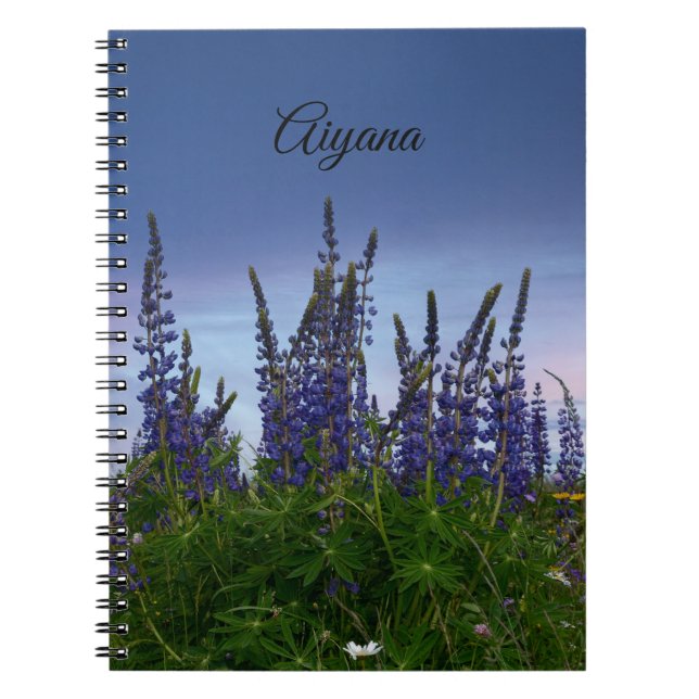 Caderno Espiral Lupinos   (Frente)