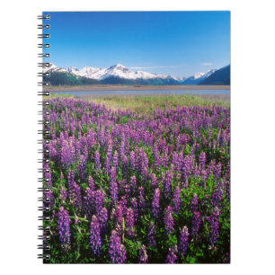 Caderno Espiral Lupinos em Flor   Montanhas Kenai, Alasca