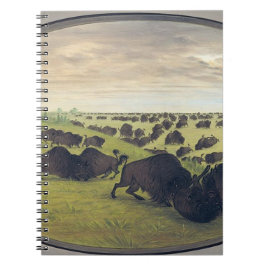 Caderno Espiral Luta de Buffalo
