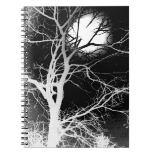 Caderno Espiral Luz