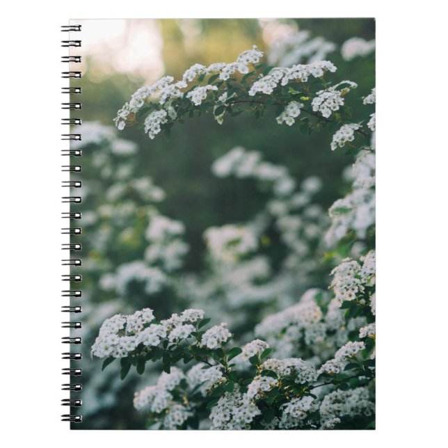 CADERNO ESPIRAL LUZ DA MANHÃ (Frente)