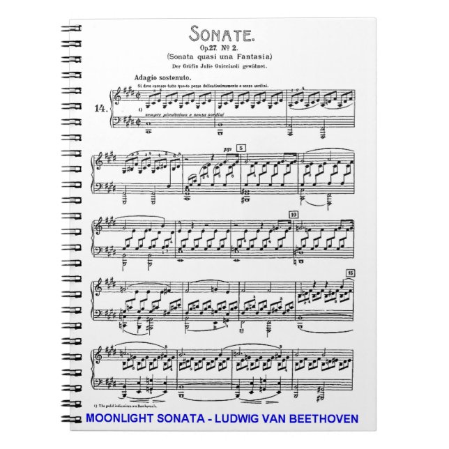 Caderno Espiral Luz-Luz-Sonata-Ludwig-Beethoven (Frente)
