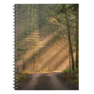 Caderno Espiral Luz solar que brilha através de uma floresta