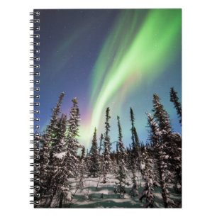 Caderno Espiral Luzes do norte Parque Nacional Denali