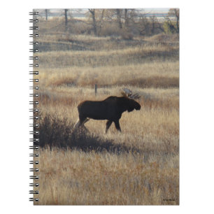 Caderno Espiral M5 Alce Macho e Colinas de Areia