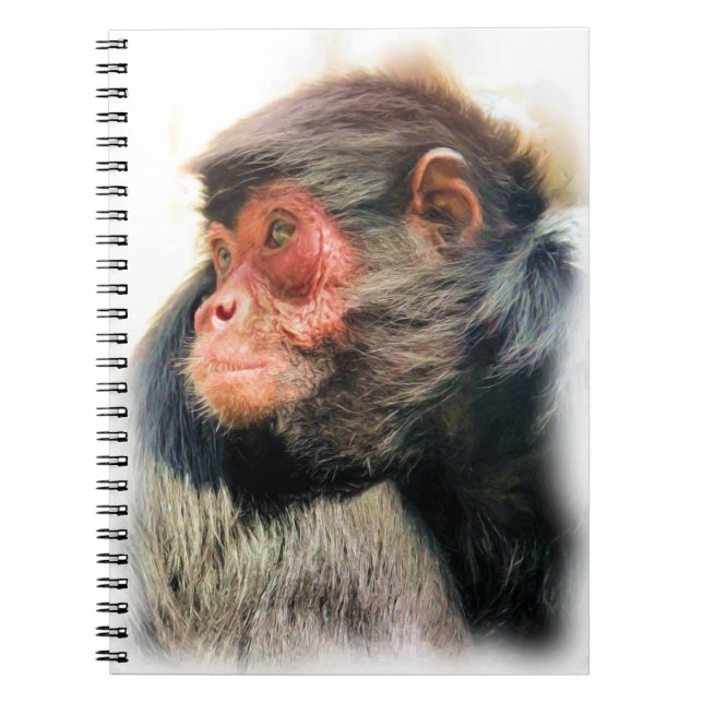CADERNO ESPIRAL MACACA DE ARANHA (Frente)