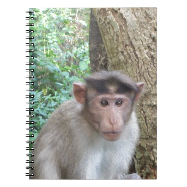 Caderno Espiral Macaco (Frente)