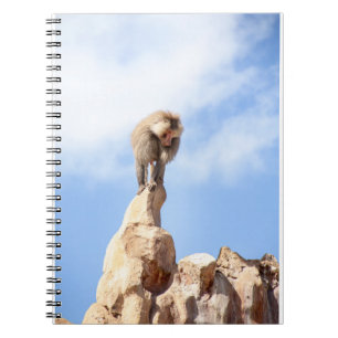 Caderno Espiral Macaco babuíno no topo de uma montanha