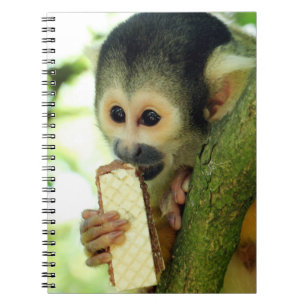 Caderno Espiral Macaco-esquilo-do-bebê giro comendo um biscoito de