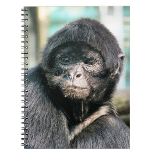 CADERNO ESPIRAL MACACOS