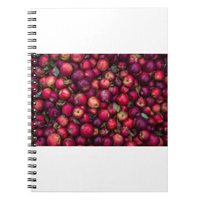Caderno Espiral Maçãs Vermelhas (Frente)