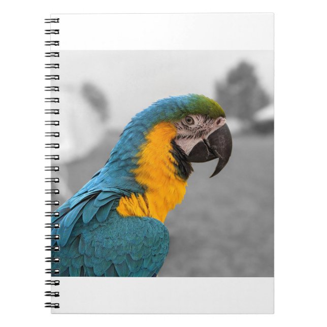 Caderno Espiral Macaw Parrot (Frente)