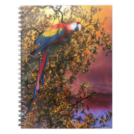 CADERNO ESPIRAL MACAW PARROT RAIN FOREST OUTPOST