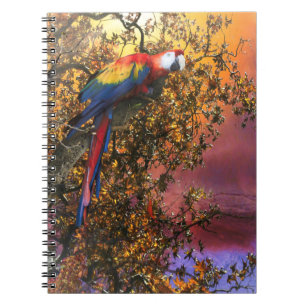 CADERNO ESPIRAL MACAW PARROT RAIN FOREST OUTPOST
