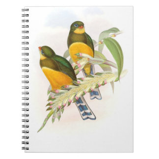 Caderno Espiral Macklot's Trogon,
