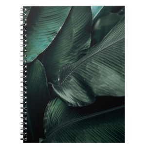 CADERNO ESPIRAL MACRO FOTOGRAFIA DE FOLHAS VERDES