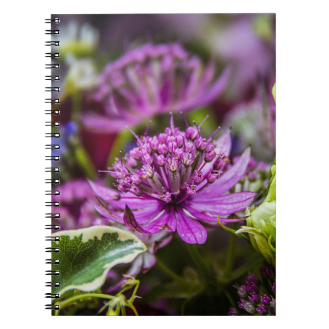 Caderno Espiral Magia requintada de flores #1 (Frente)