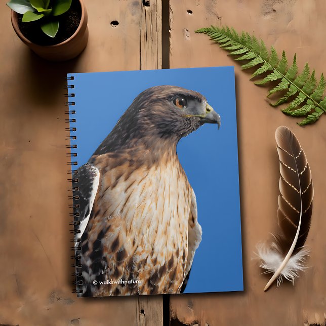 Caderno Espiral Magnífico Falcão de Altura Vermelha no Sol (Magnificent Red-Tailed Hawk in the Sun Journal Cover Photo 2)