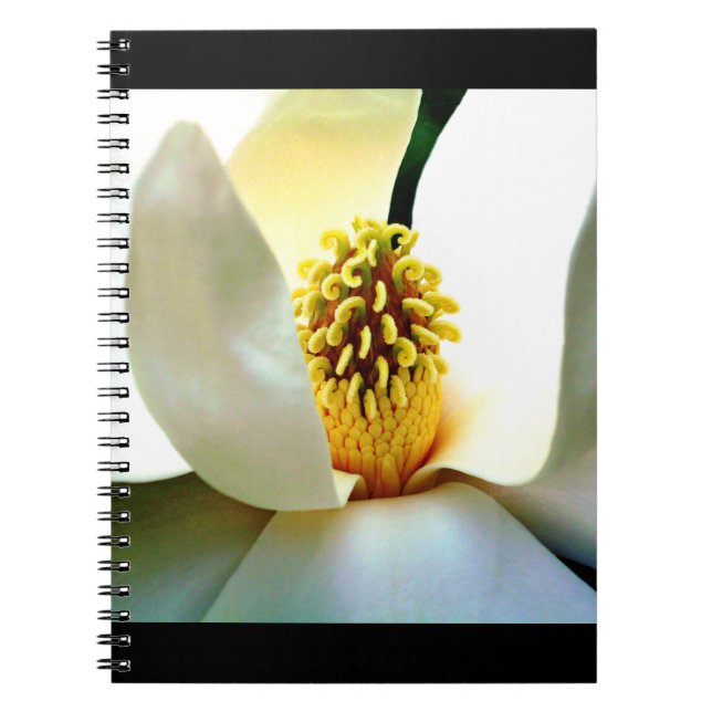 Caderno Espiral Magnolia Bloom Macro (Frente)