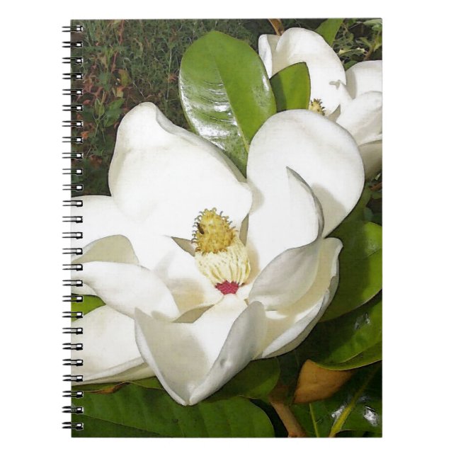 Caderno Espiral Magnolia Blossom (Frente)