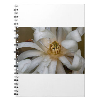 Caderno Espiral Magnolia éhigié