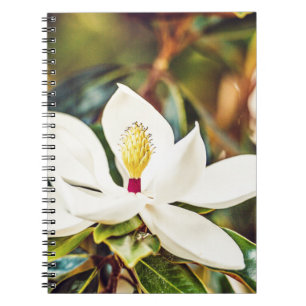 Caderno Espiral Magnólia lindo de Mississippi