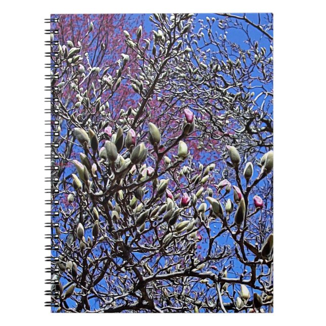 Caderno Espiral Magnólia, Massa de Botões (Frente)