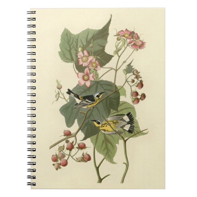 Caderno Espiral Magnolia Warbler de Audubon (Frente)
