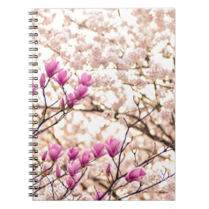 Caderno Espiral Magnólias Rosa Roxo em Flor na Primavera