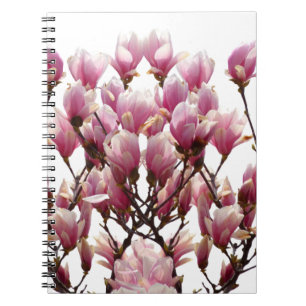 Caderno Espiral MAGNÓLIAS ROSAS EM FLOR Flor de Primavera