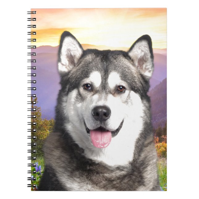 Caderno Espiral Malamute do Alasca (Frente)