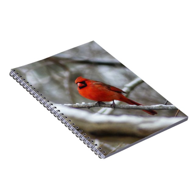 Caderno Espiral Male Cardinal (Lado Direito)