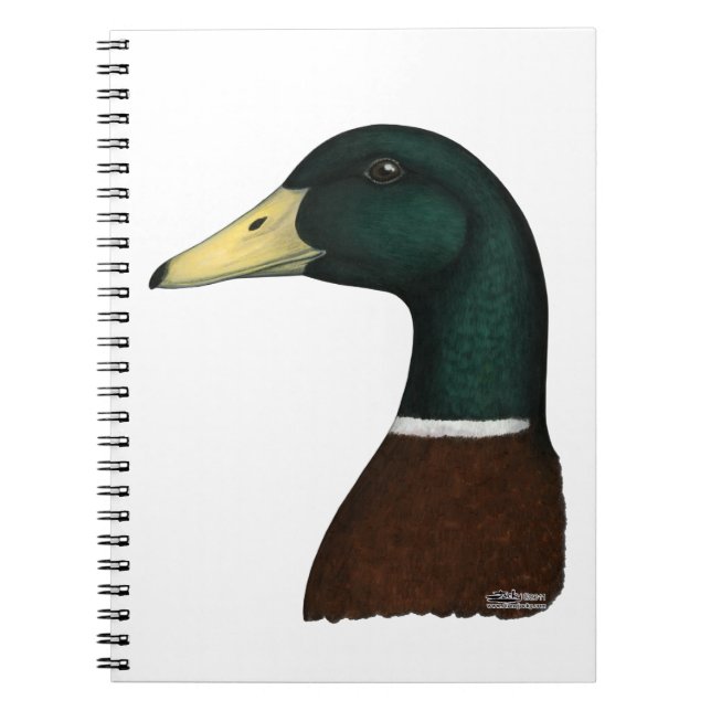 Caderno Espiral Mallard Drake Head (Frente)