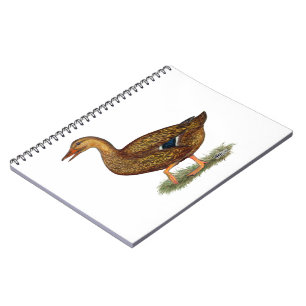 Caderno Espiral Mallard Duck Hen